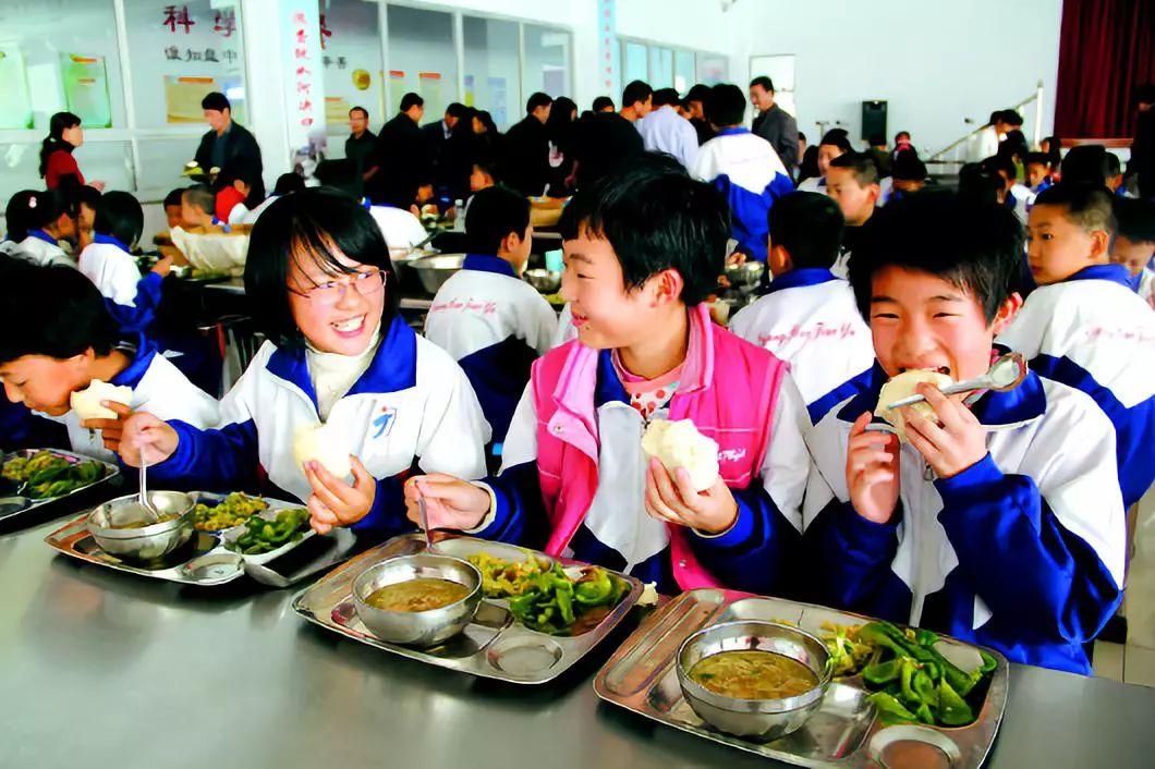 学生营养餐食谱大全，打造健康校园餐饮新风尚